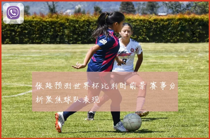 张路预测世界杯比利时前景 赛事分析聚焦球队表现