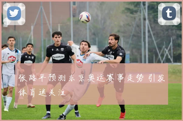 张路平预测东京奥运赛事走势 引发体育迷关注