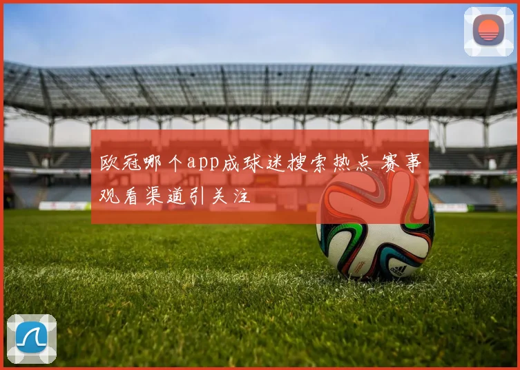 欧冠哪个app成球迷搜索热点 赛事观看渠道引关注