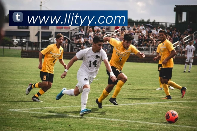 开云Kaiyun(中国) - 官方网站服务体系